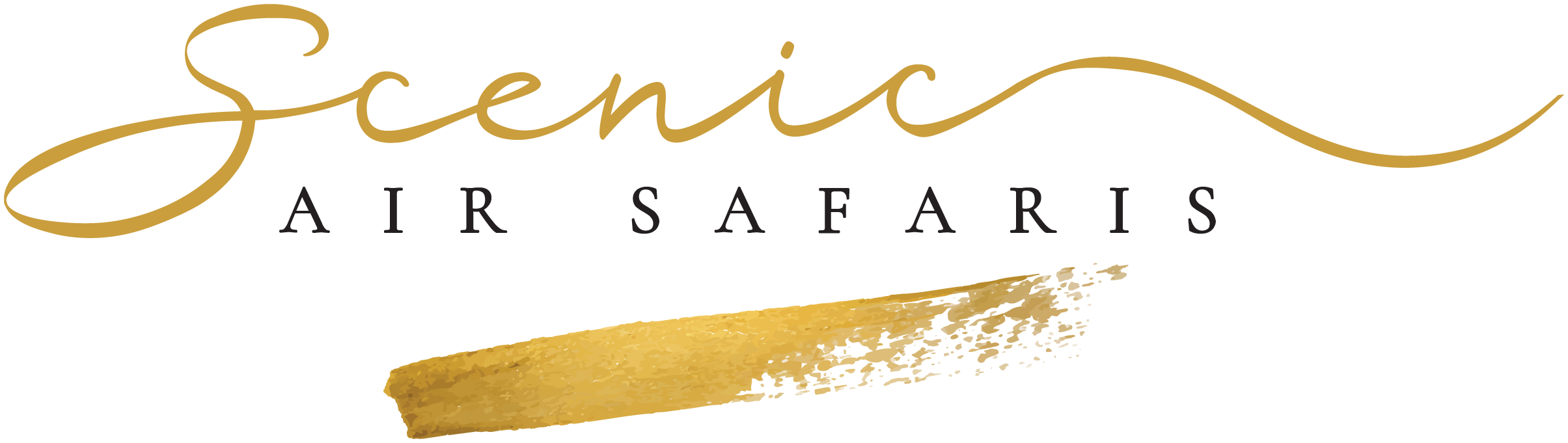 Scenic Air Safaris