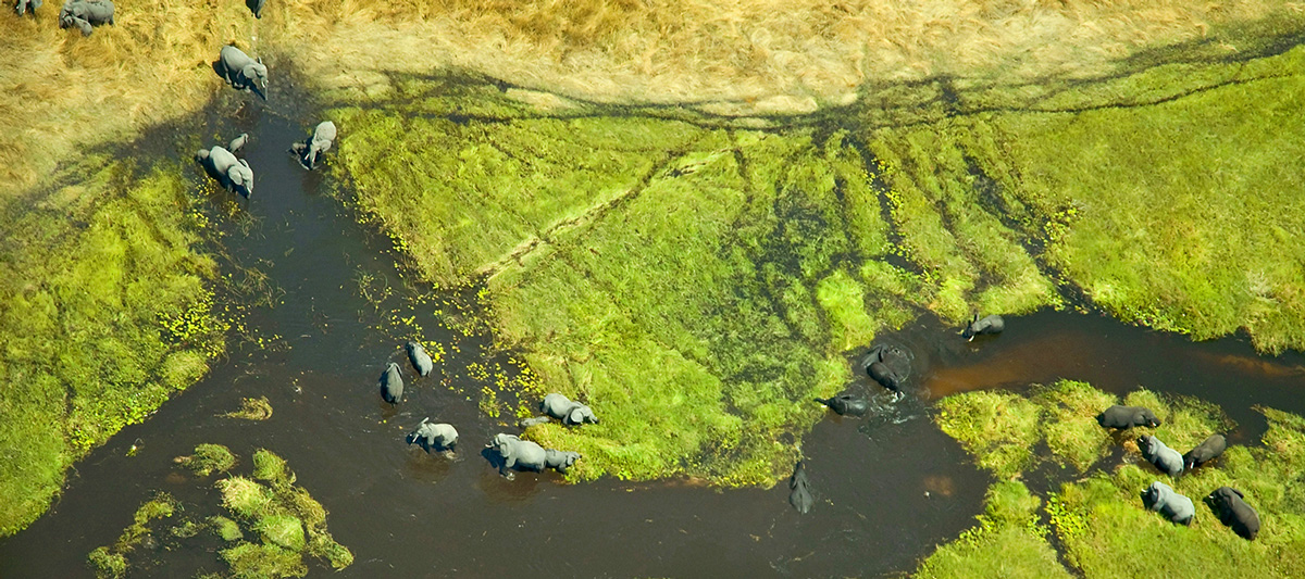 Scenic Air Safaris - Botswana
