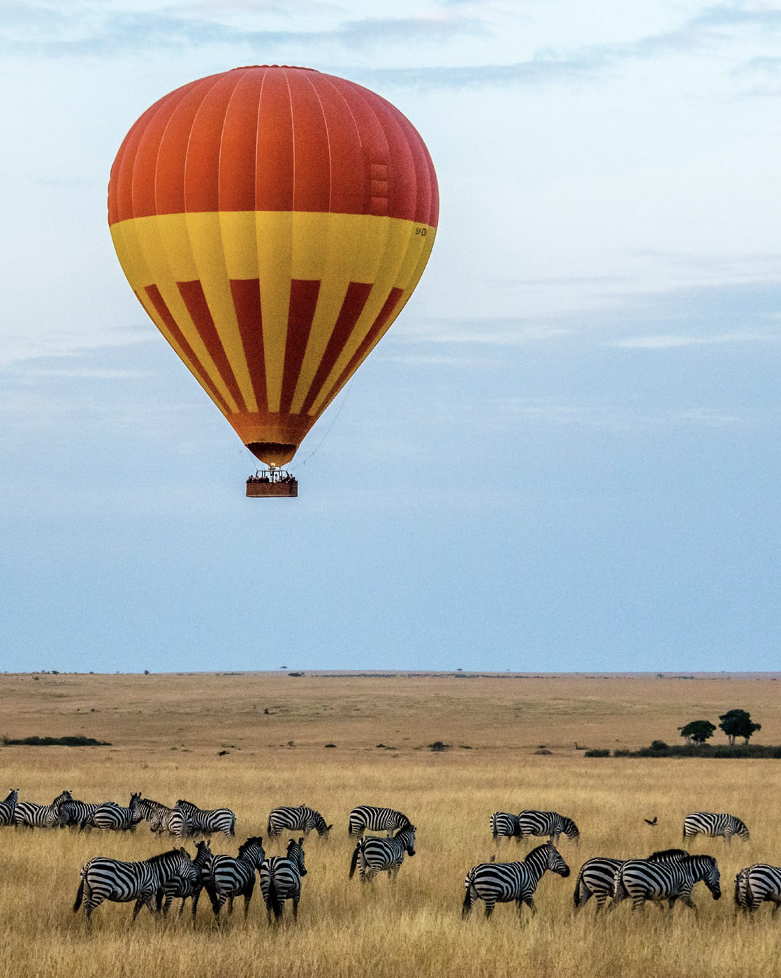 Out of Africa Flying Safari