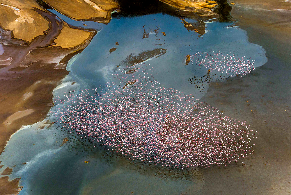 Flamingo Lakes Magadi & Lake Natron