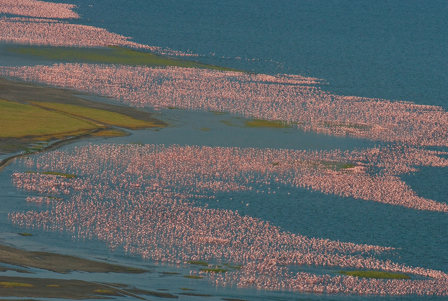 Scenic Air Safaris - Lake Bogoria Scenic Flight