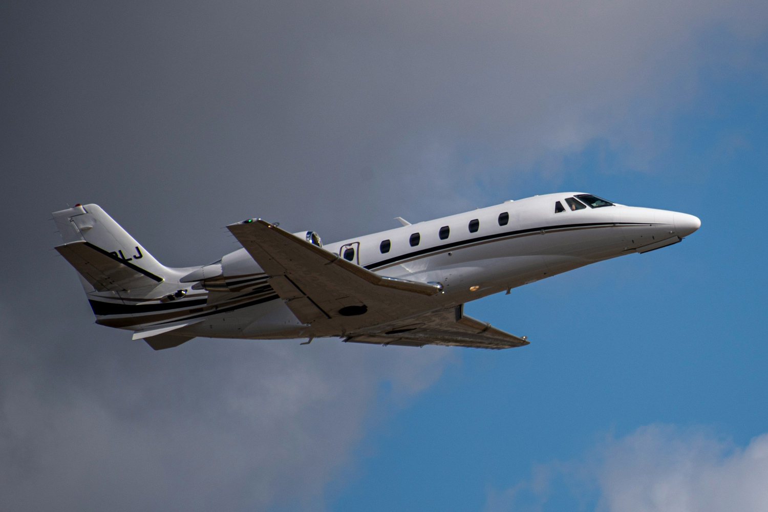 Scenic Safaris Citation Excel